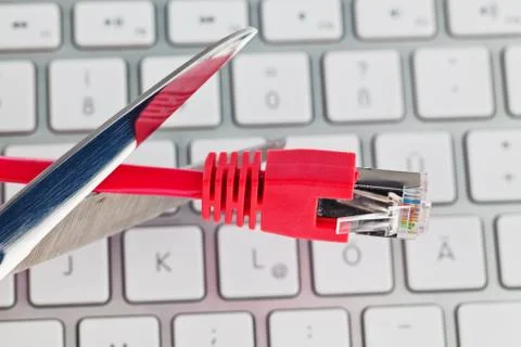 Network cable from a computer Stock Photos