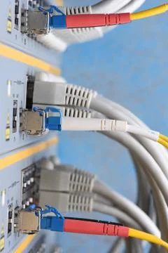 Network cable connected to network switch Stock Photos