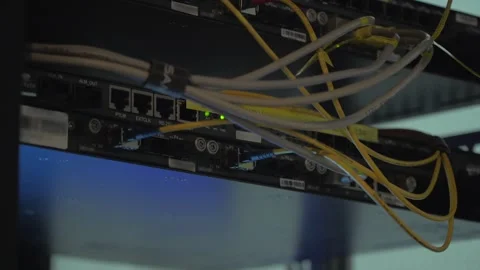 Network cable connected to a server Stock Footage 333542992
