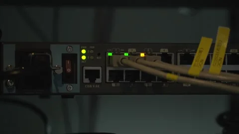 Network cable connected to a server Stock Footage 333543059
