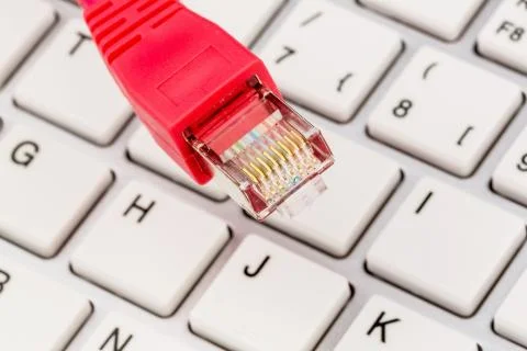 Network cable on keyboard Stock-Fotos