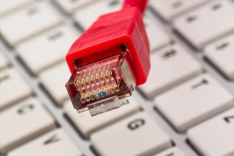 Network cable on keyboard Stock Photos