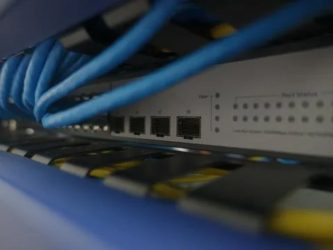 Network Cable plug at Swtich Foto stock