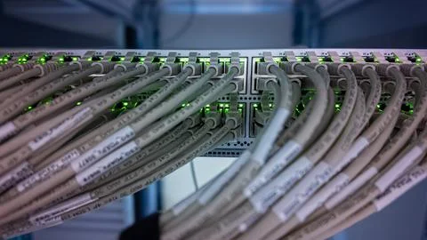 Network cables are organized in a server room displaying green indicators for Stock Photos