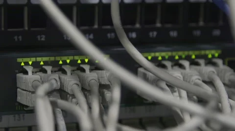 Network cables close-up Stock Footage 48648697