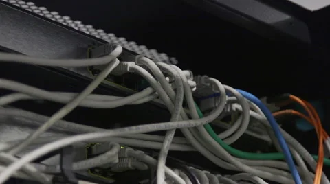 Network cables close-up 스톡 동영상 48650109