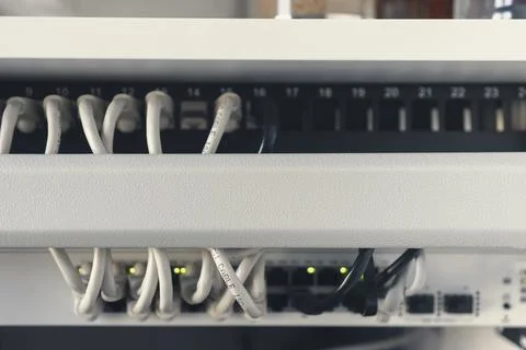 Network cables close up 스톡 사진