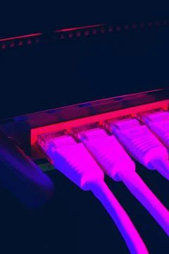 Network cables connect to a device in a low-light environment with purple Stock Photos