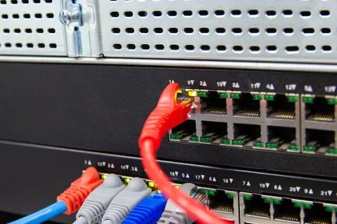 The network cables to connect Lan port 库存照片