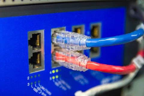 The network cables to connect Lan port Stock-Fotos