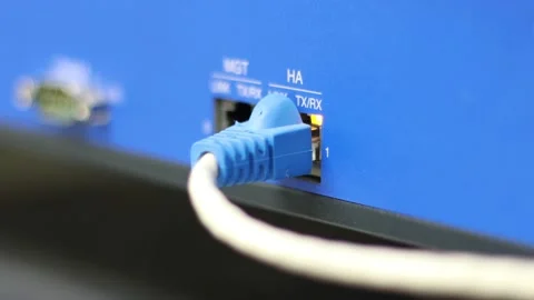The network cables to connect the port of a switch to connect internet network 库存影片 193424548