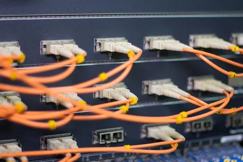 The network cables to connect the port of a switch to connect internet Foto stock