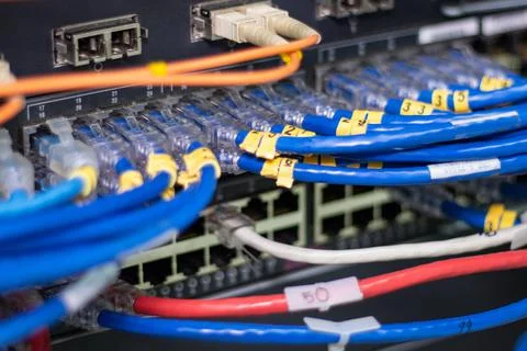 The network cables to connect the port of a switch to connect internet Stock Photos