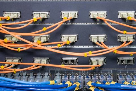 The network cables to connect the port of a switch to connect internet Photos
