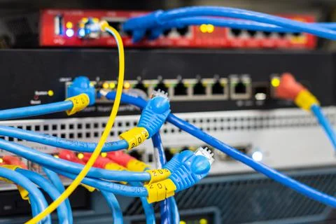 The network cables to connect the port of a switch to connect internet Foto stock