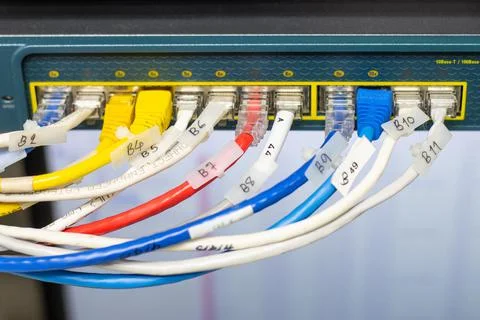 The network cables to connect the port of a switch to connect internet Stock Photos