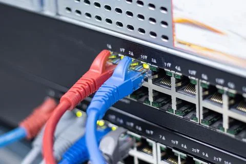 The network cables to connect the port of a switch to connect internet Photos