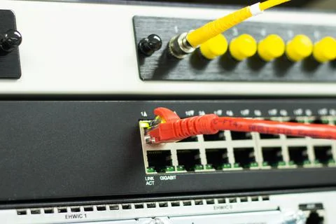 The network cables to connect the port of a switch to connect internet 스톡 사진