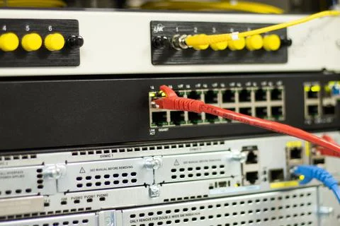 The network cables to connect the port of a switch Foto stock