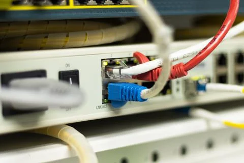 The network cables to connect the port of a switch Stock Photos