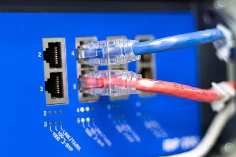 The network cables to connect the port of a switch to connect internet netw.. 库存照片