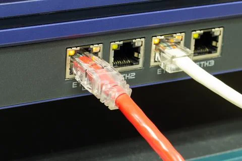 The network cables to connect the port of a switch to connect internet netw.. 库存照片