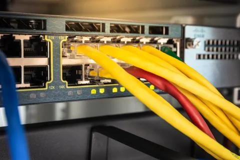 Network cables connected in network switches for communication and data. Stock Photos