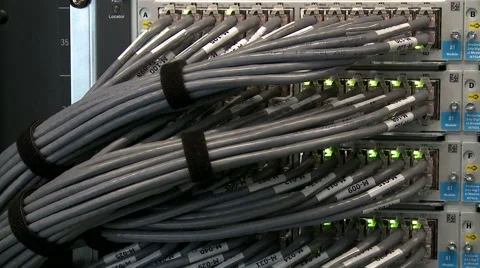 Network cables connected to server Stock Footage 45368970