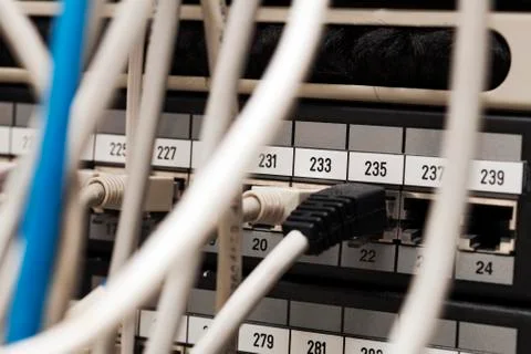 Network cables connected to server Stock Photos