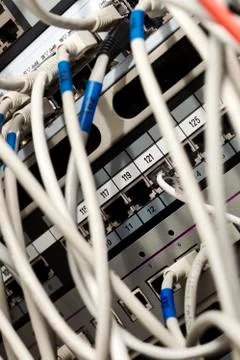 Network cables connected to server Stock Photos