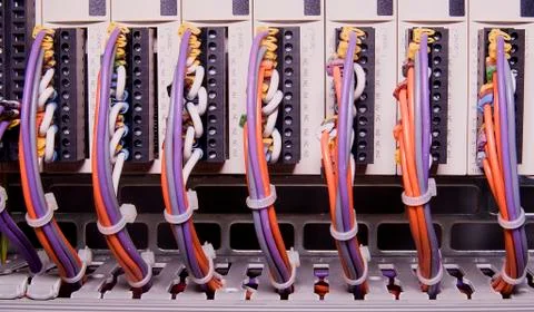 Network cables connected to switch - close up of data center hardware. Multi Stock-Fotos