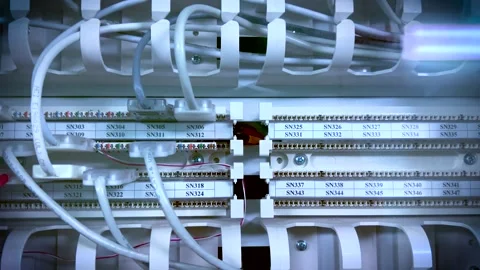 Network cables connected to switch. Stock Footage 313389476