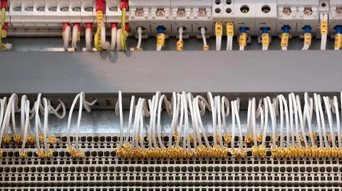 Network cables connected to a switch, network  internet communication concept Foto stock