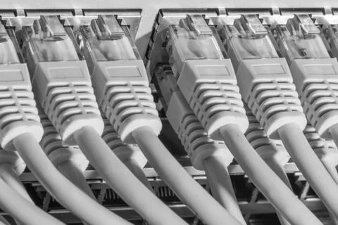 Network cables connected to switch Stock Photos
