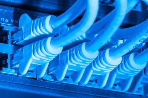 Network cables connected to switch Foto stock