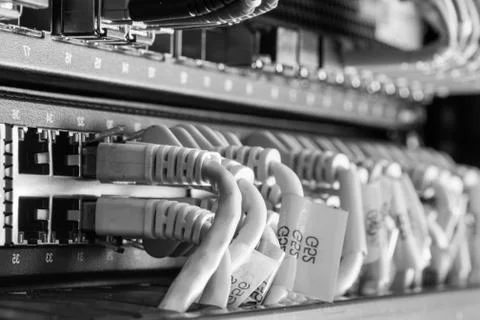 Network cables connected to switch Stock Photos