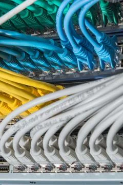 Network cables connected to switch Stock Photos