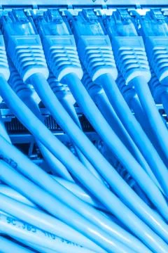 Network cables connected to switch Stock Photos