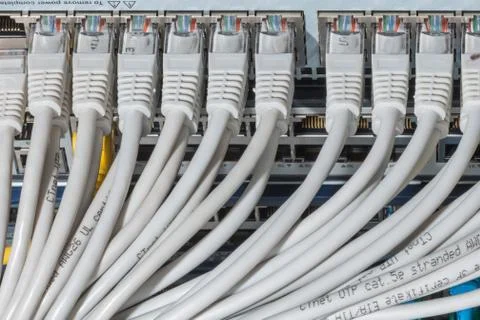 Network cables connected to switch Stock Photos
