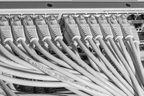 Network cables connected to switch Stock Photos