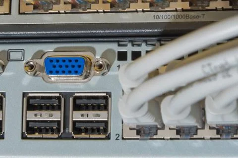Network cables connected to switch Foto stock