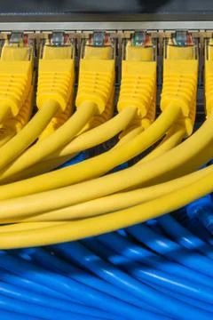 Network cables connected to switch Stock Photos