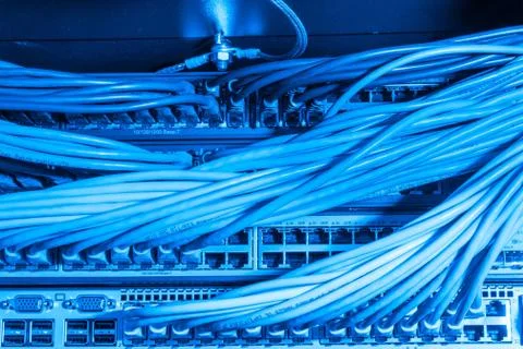 Network cables connected to switch Stock Photos
