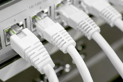 Network cables connected to switch Foto stock