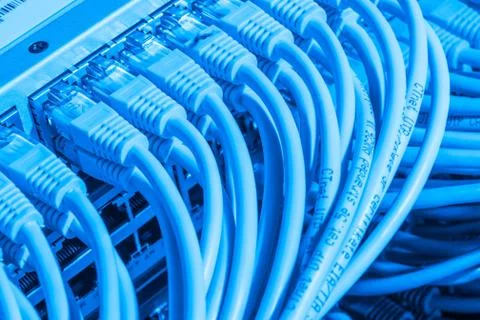 Network cables connected to switch Stock Photos