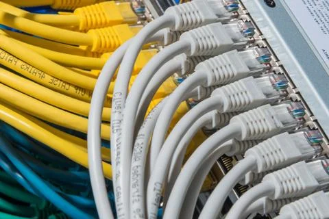 Network cables connected to switch Stock Photos