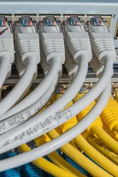 Network cables connected to switch Stock Photos