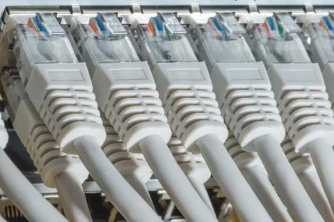 Network cables connected to switch Stock Photos