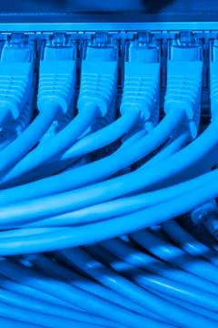Network cables connected to switch Stock Photos