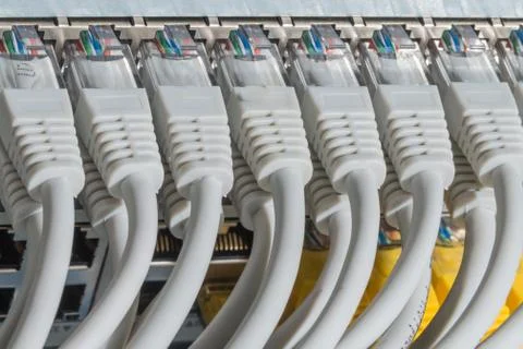 Network cables connected to switch Stock Photos